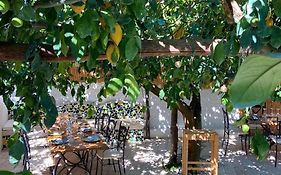 Don Salvatore Resort